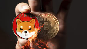 101 Million SHIB Burned As Shytoshi Kusama Likens Shiba Inu to Bitcoin (BTC)