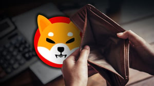 Bankrupt Shiba Inu Trillionnaire Moves Billions of SHIB: Where To?