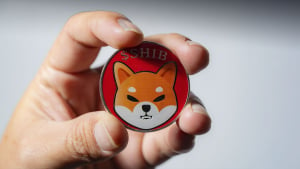 Shiba Inu Token Addresses Skyrocket as SHIB Price up 9%