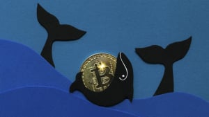 These Small BTC Whales Continue to Buy Bitcoin Aggressively: Report