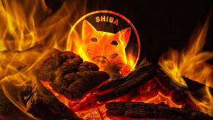 Weekly SHIB Burn Rate 76% Down Despite Great Shibarium News