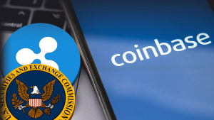 Ripple Ruling 'Decimates' SEC's Case Against Coinbase: Gemini CEO