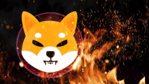 SHIB Burns Jump 2,057% as Shiba Inu Price Surges Impacted by This Crucial Driver