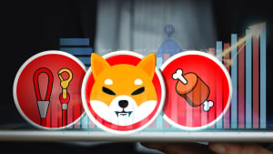 Shiba Inu Tokens BONE, LEASH Suddenly Jump Higher, Here's Why