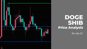 DOGE and SHIB Price Analysis for July 22