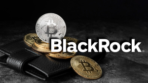 BlackRock Names Optimal Bitcoin Share in Investor's Risk Portfolio – You'll Be Surprised