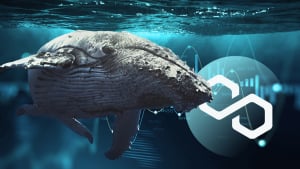 Polygon (MATIC) Whale Transactions Jump 2,930% as Price Nears Key Level