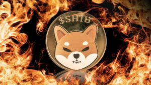 Shiba Inu Burns 915 Million SHIB Tokens in Epic Week, Here's Impact