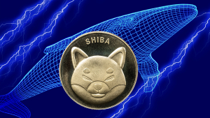 Whales Shift 49 Billion SHIB as Shibarium Hits New All-Time High