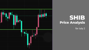 SHIB Price Analysis for July 2