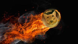 Unusually High SHIB Tokens Set Ablaze Despite Anemic Price Outlook