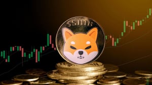 Shiba Inu (SHIB) Inflows See Jaw-dropping 2,200% Spike, Here's Why