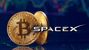 Did Bitcoin Price Crash to $25K Because of Fake SpaceX News?