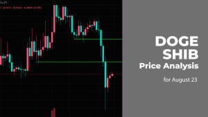 DOGE and SHIB Price Analysis for August 23