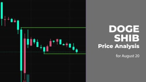 DOGE and SHIB Price Analysis for August 20