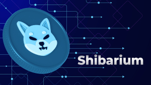 Shiba Inu: Shibarium Live but in Private Mode, Here's Latest Update