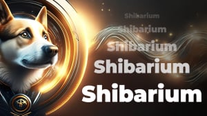 Shibarium Basic Design Explained by SHIB Team Member: Details