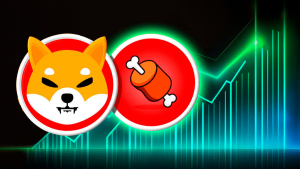 Shiba Inu: BONE Surprises With 50% Gain in Millionaire Addresses