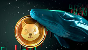 Shiba Inu (SHIB) Whale Activity up 48%, Here's How Much Was Moved