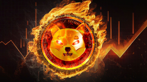 SHIB Burns Rapidly Increase by 317% as Price Shows Rise