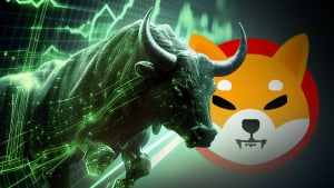 Shiba Inu Official Reveals What to Expect From SHIB in Next Bull Cycle