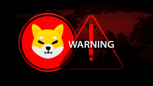 SHIB Team Member Issues Crucial Warning to Community: Details