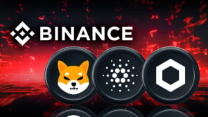 Binance Delists SHIB, ADA and LINK Liquidity Pools