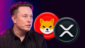 Elon Musk's Tweet Raises Questions from XRP and SHIB Armies