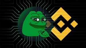 Massive 6.2 Trillion Pepe Transfer From Binance, How PEPE Price Reacted
