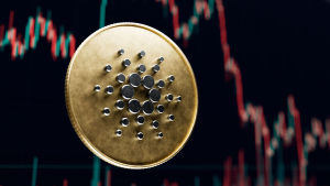 Cardano (ADA) Addresses in Loss Hit 93%, What's Happening?
