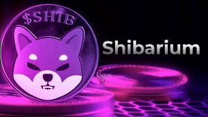 Shiba Inu’s Shibarium Nodes in Maintenance