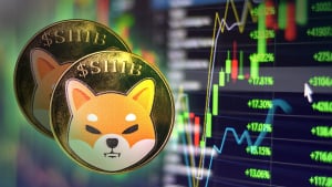 Shiba Inu (SHIB) Welcomes Setup for Next Mega Rally: Analyst