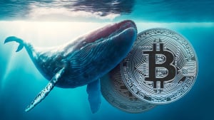 Bitcoin (BTC) Whales Aggressively Accumulating: On-Chain Data