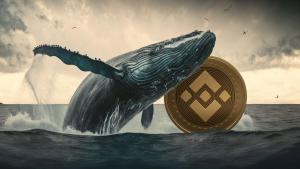 BNB up 12% Weekly as Whale Grabs $5.6 Million Worth of It