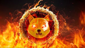 SHIB Burn Rate Springs 456%, Price Reacts by Printing Big Rise 