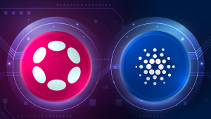 Polkadot (DOT) Makes Cardano Announcement, What Does It Relate To?