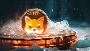 Shiba Inu's December Drama: SHIB Investors Buckle Up for Price Roller Coaster