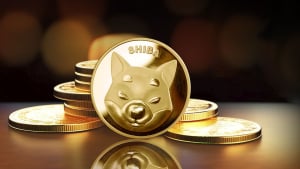 Top 10 SHIB Wallets Revealed, Here's Who Holds Biggest Shiba Inu Chunk