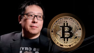 'I Don't Mind Bitcoin Pullback Now' Samson Mow Says, Here's Why