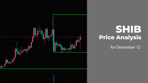 SHIB Price Analysis for December 12