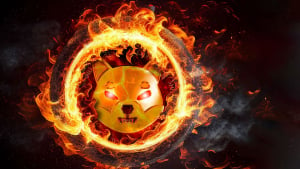 Astonishing 17 Billion SHIB Burned in Past Week, Burn Rate up 100%