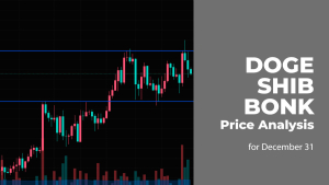 DOGE, SHIB and BONK Price Analysis for December 31