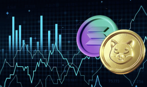 Solana-Based Meme Coin Surges 30% and Surpasses Shiba Inu in Trading Volume