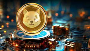 Shiba Inu (SHIB) Triggers Massive Netflow Spike as Price Jumps 5%