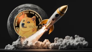 1 Billion Dogecoin Transferred to Mystery Wallet as DOGE Moon Date Revealed