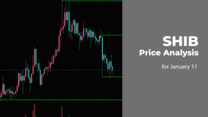 SHIB Price Analysis for January 11