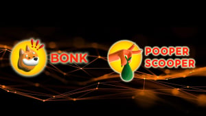 Solana's BONK Integrates Epic Wallet Functionality to Dethrone Shiba Inu