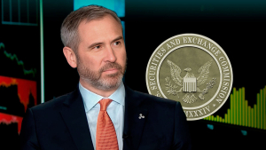 Ripple Blasts SEC, CEO Highlights Agency's Failures