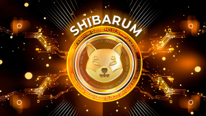 Major Shibarium Partner and SHIB Burner Revealed by Shiba Inu Member