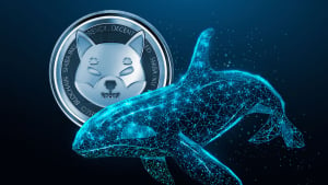 Shiba Inu (SHIB) Jumps 300% Amid Abnormal $178 Million Whale Activity